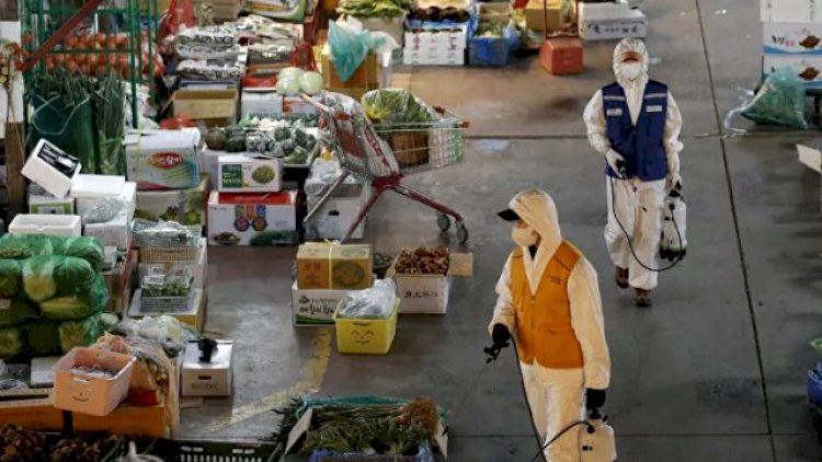 Müştəri qəsdən xəstəlik yaymaq istədi, market sahibi 35 minlik məhsulu zibilliyə atdı