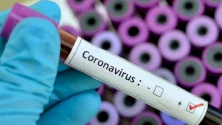 Koronavirus pandemiyasının nə qədər davam edəcəyi bəlli deyil - ÜST