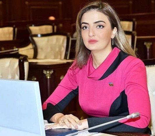 Deputat: “2025-ci ilədək Azərbaycan iqtisadiyyatın rəqabət qabiliyyətinin gücləndirilməsinə nail olacaq”