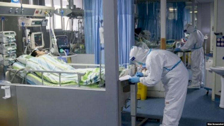 Azərbaycanda daha 4 nəfər koronavirusdan öldü, 314 yeni yoluxma - RƏSMİ