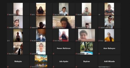 Nəsimi rayonunda video-konfrans keçirilib
