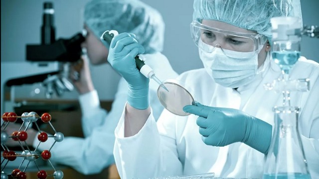 Bu ölkədə koronavirus peyvəndi məcburi ola bilər