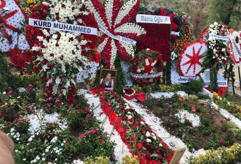 Lotu Qulinin ad gününə dünya oğruları axın etdi - FOTOLAR