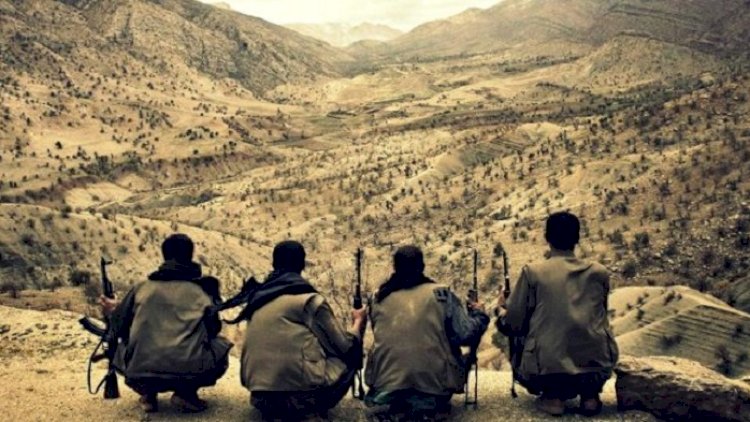 Ermənistan PKK, ASALA və digər terror təşkilatlarına qucaq açdı