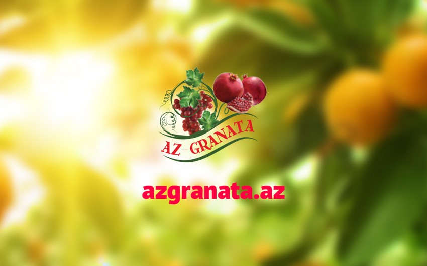 “AZGRANATA” Silahlı Qüvvələrə Yardım Fonduna 100 min manat köçürdü