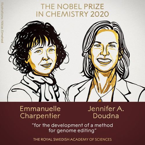 Kimya üzrə Nobel mükafatının qalibləri açıqlandı