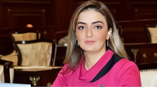 Ermənistanın müharibə cinayətləri Avropa mətbuatında