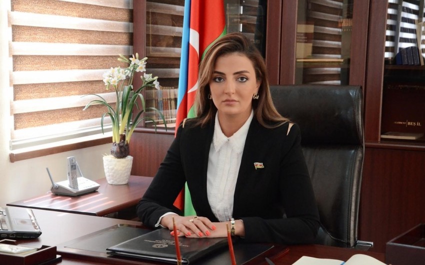 Erməni lobbisinin daha bir cəhdi iflasa uğradı