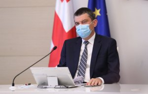 Gürcüstanın Baş Naziri özünütəcrid etdi