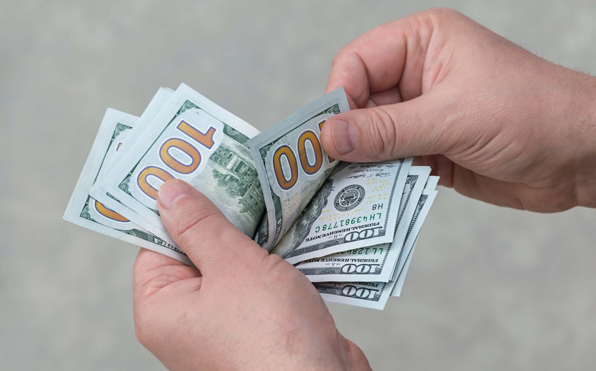 Türkiyədə dolların məzənnəsi tarixi maksimumu yenilədi