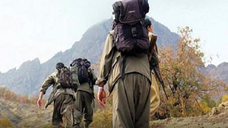 Ermənistan yüzlərlə PKK terrorçusunu Qarabağa gətirdi