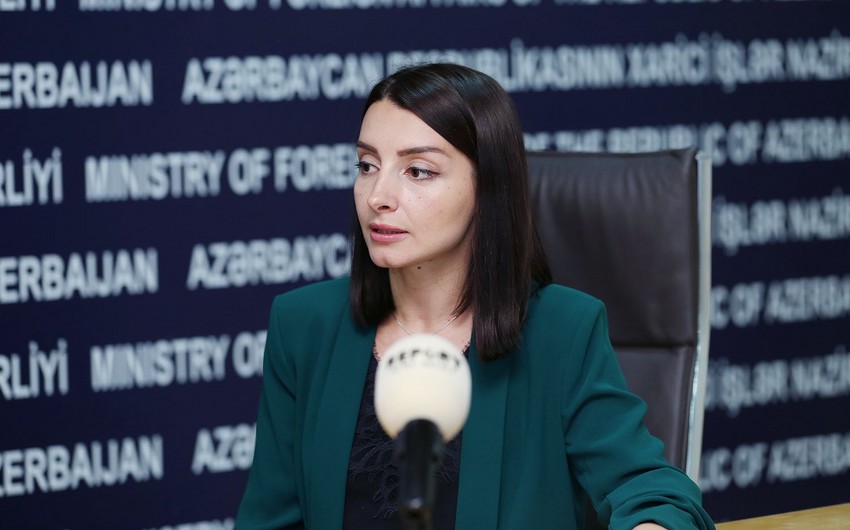 Paşinyan getsə belə, razılaşma dəyişməyəcək - Azərbaycan XİN