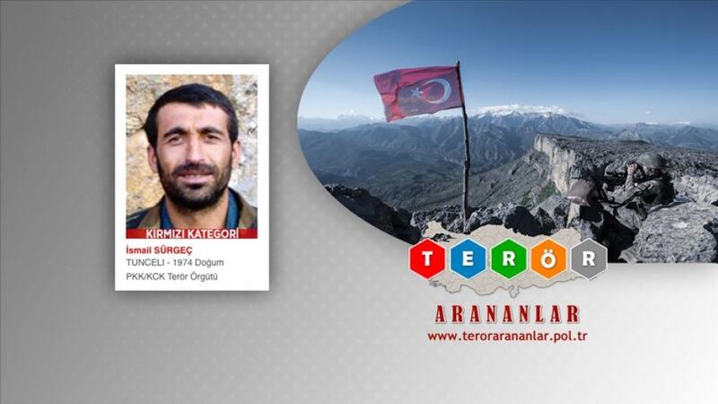 Türkiyədə daha bir PKK terrorçusu zərərsizləşdirildi