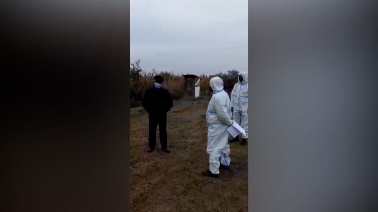 Koronavirus xəstəsi koronavirusdan ölənin dəfnində - FOTOLAR
