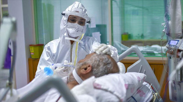 Türkiyədə koronavirusdan daha 254 nəfər öldü