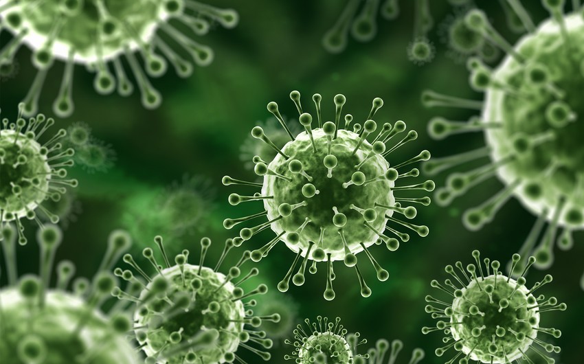 Yeni pandemiya xofu yaradan iddialar doğru deyil - Nipah virusu 1998-ci ildən bəri var