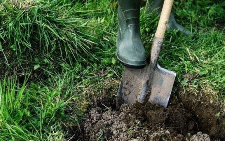 Bakıda dəhşət: kişi qadını öldürüb həyətdə basdırdı