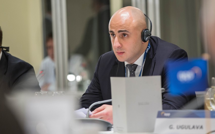 Gürcüstanın müxalif partiya sədri həbs olundu