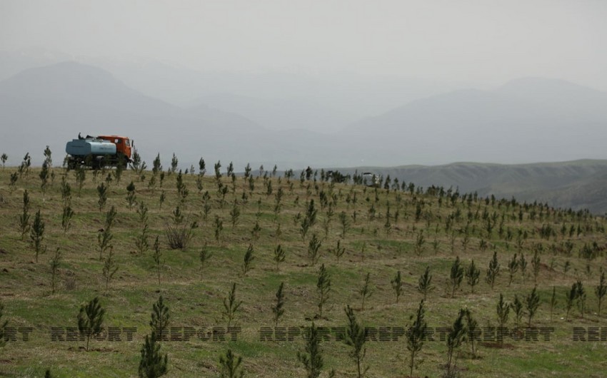 “İşğaldan azad edilmiş ərazilərdəki kənd təsərrüfatı torpaqları indidən paylanmalıdır” - Ekspert