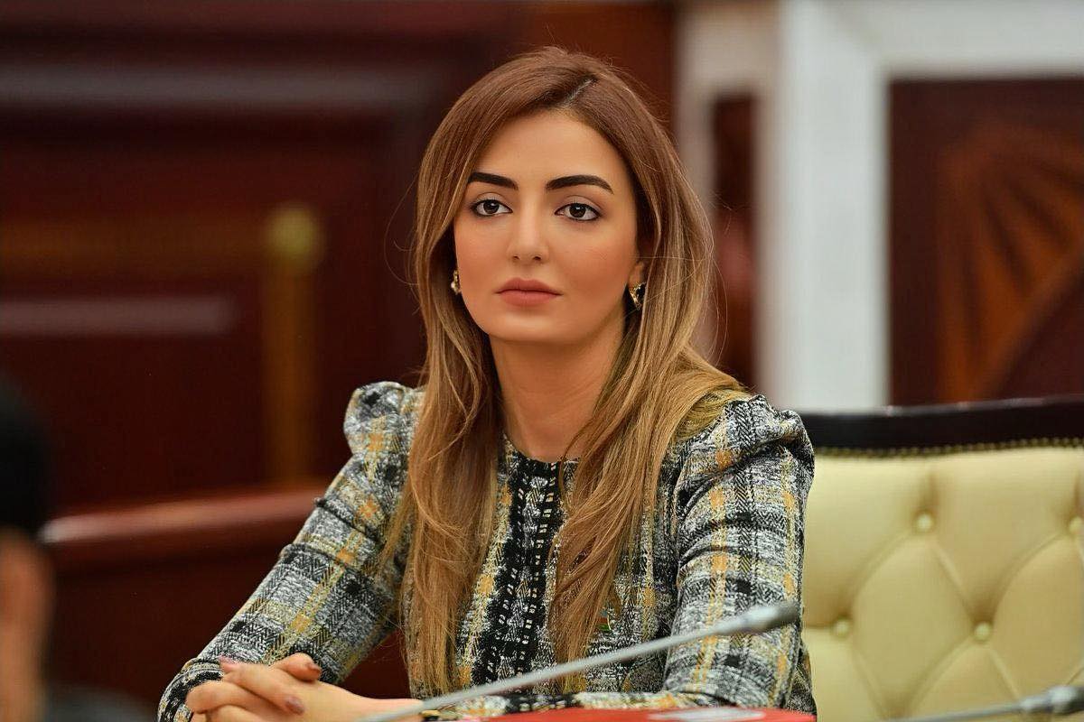 Könül Nurullayeva: “Uşaq intiharlarına və azyaşlılara qarşı törədilən cinayət xarakterli əməllərə vaxtında ciddi hüquqi reaksiya verilmir” - VİDEO