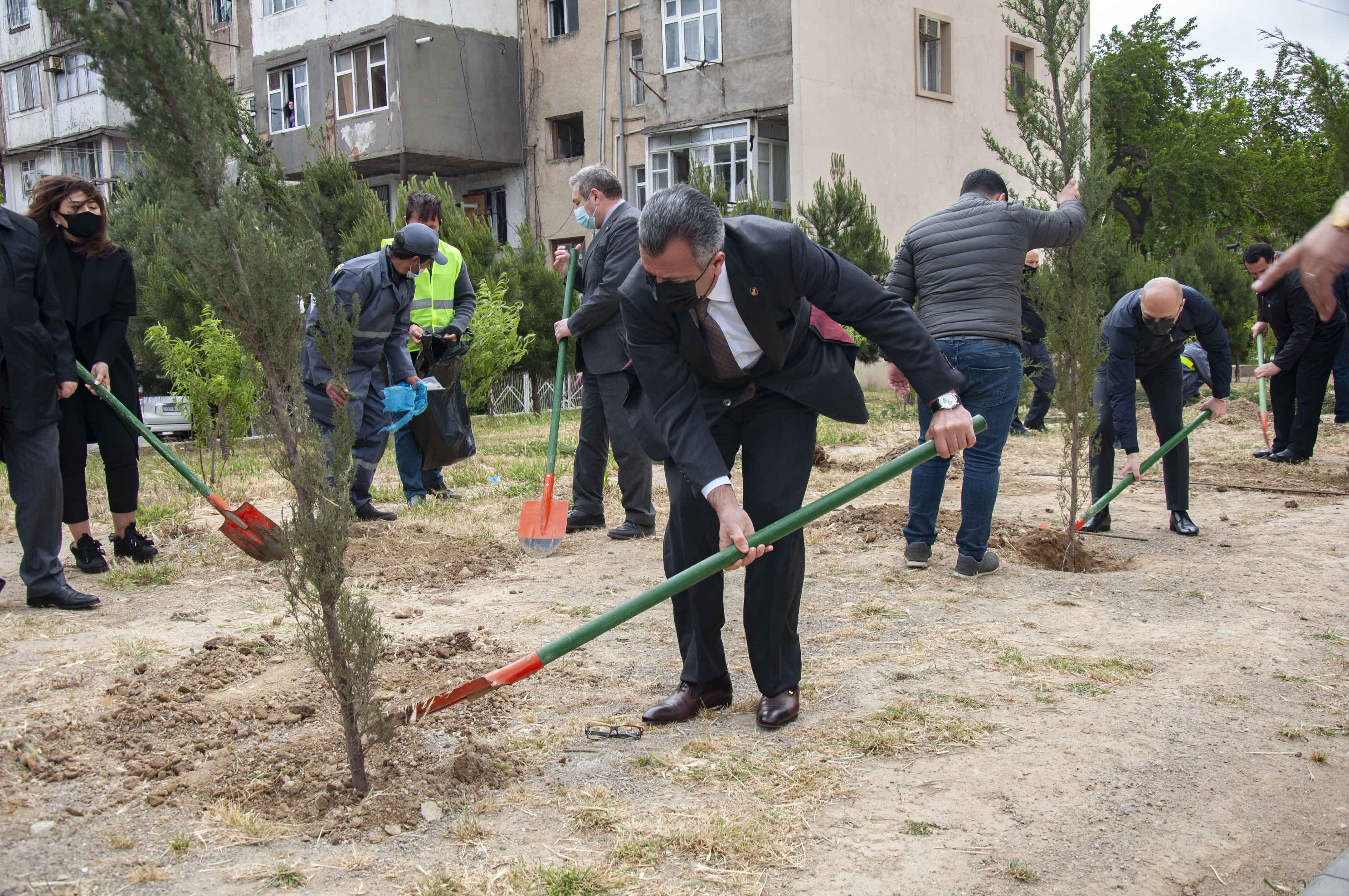 Ümummilli Liderin doğum günü Nərimanov rayonunda ənənəvi ağacəkmə aksiyası ilə qeyd edildi - FOTO