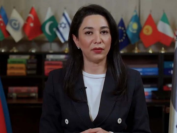 Səbinə Əliyeva Gürcüstanın Xalq Müdafiəçisinə müraciət etdi