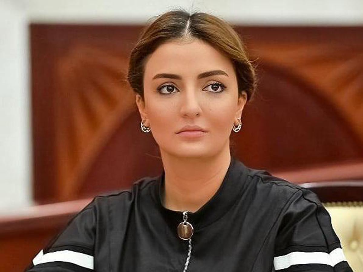 Könül Nurullayeva AŞPA-nın iclasında Azərbaycanda multikulturalizm ənənələrindən söz açdı