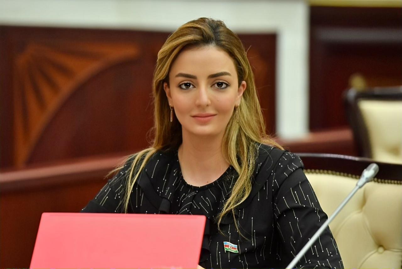 Millət vəkili Könül Nurullayeva növbəti vətəndaş qəbulunu keçirdi - FOTO
