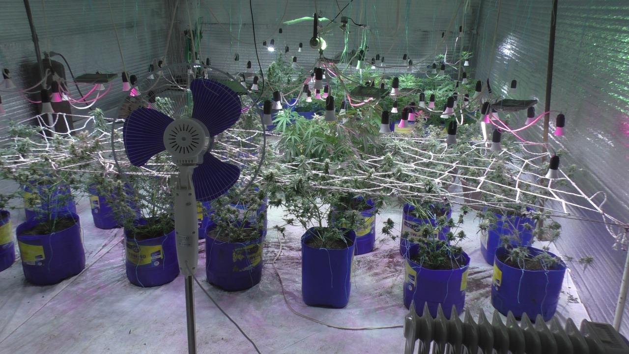 Balakəndə narkotik vasitələrin emal edildiyi laboratoriya aşkarlandı - FOTO