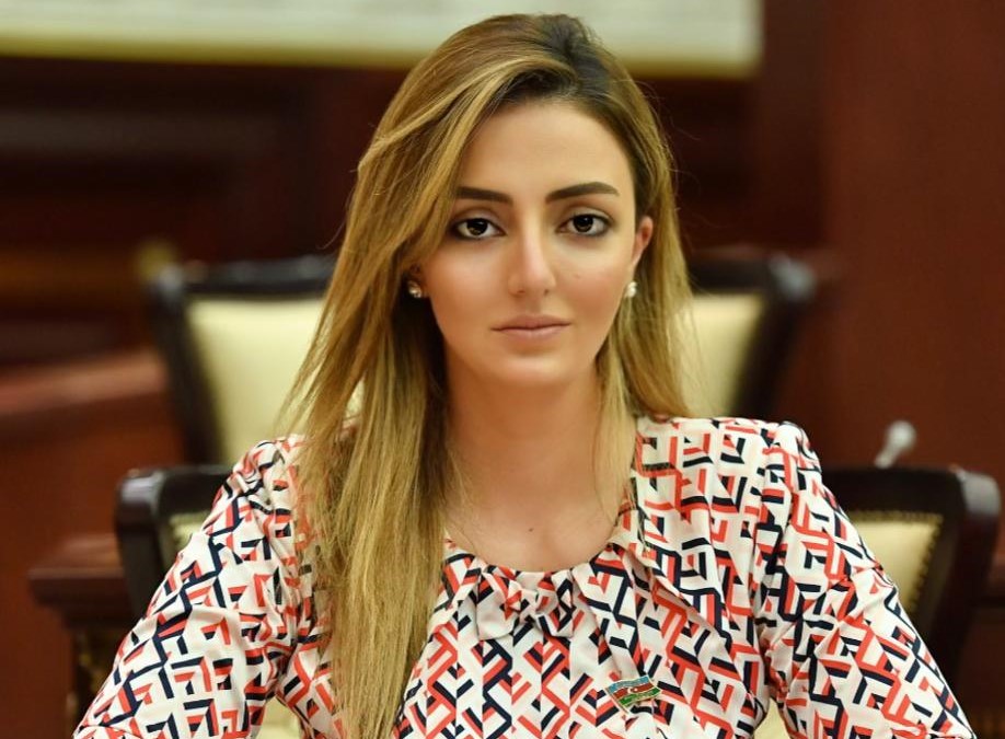 Könül Nurullayeva AŞPA-nın Yay Sessiyası üzrə videokonfransında iştirak edib