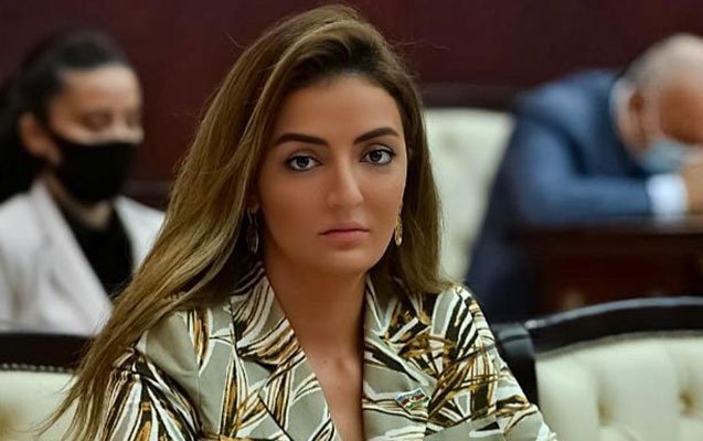 Könül Nurullayeva AŞPA-nın Yay Sessiyası üzrə videokonfransında iştirak edib