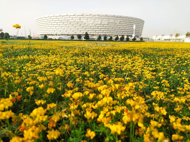 AVRO-2020: Bakı Olimpiya Stadionu ilk 