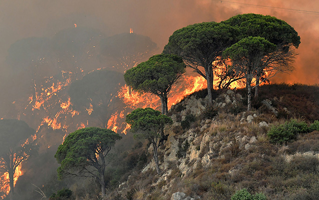 İtaliyada meşəni 80 yaşlı kişinin yandırdığı iddia olunur