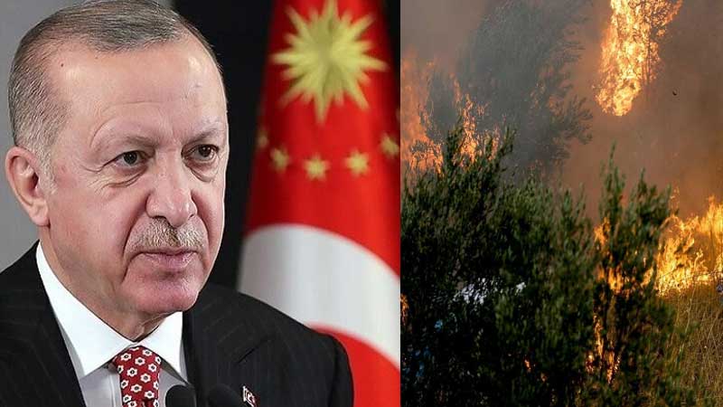 Ərdoğandan yanğınla bağlı son məlumat və yeni qərar: