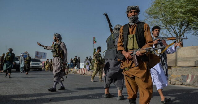 Euronews: Taliban insanlara dostca münasibət göstərir