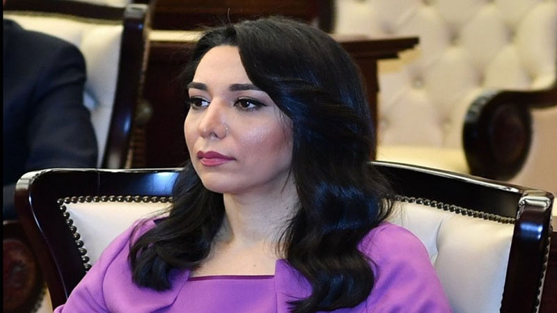 Azərbaycan ombudsmanı beynəlxalq təşkilatlara müraciət etdi