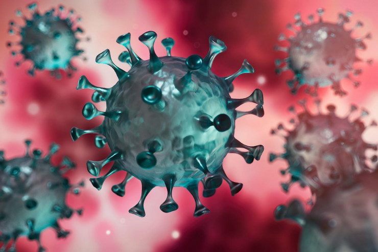 Professordan iddia: “İnsanları öldürən koronavirus deyil”