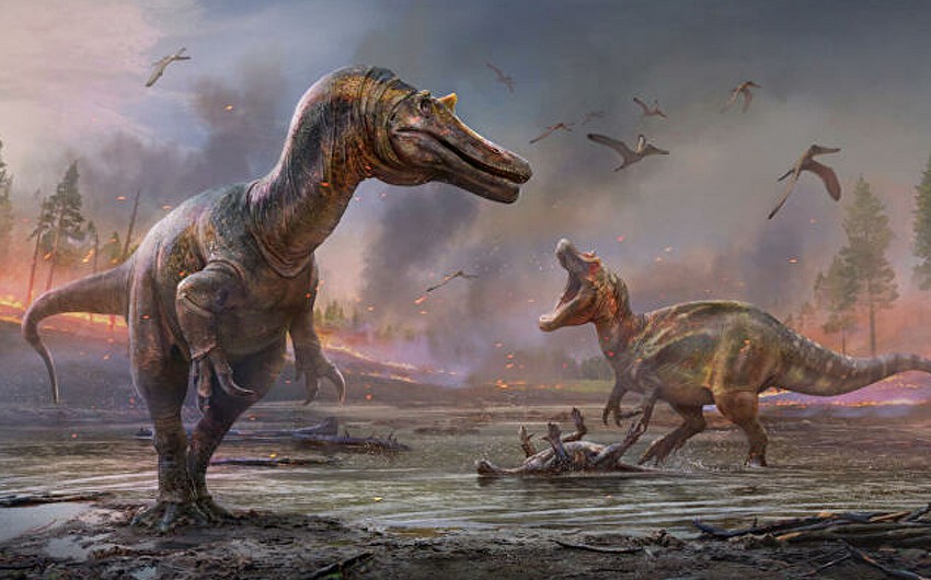 İngiltərədə iki dinozavr növünə aid qalıqlar tapıldı