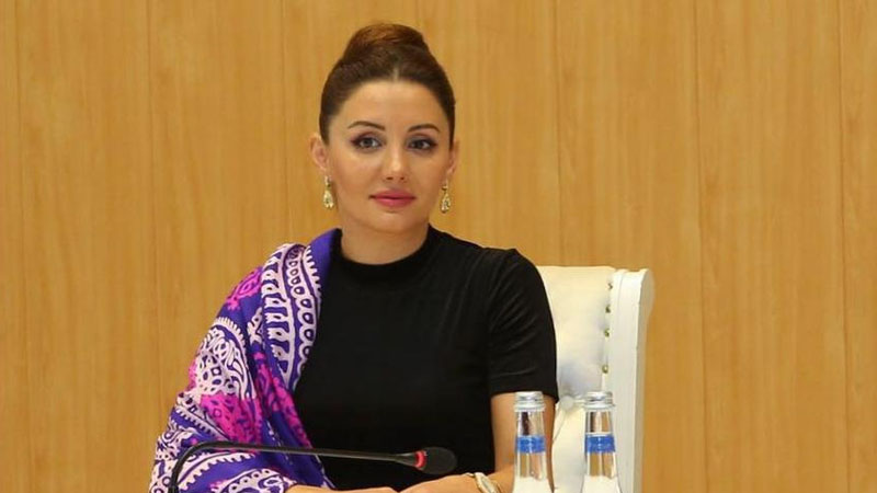 Aytac Əliyevanın həbsinin təfərrüatları məlum oldu - RƏSMİ