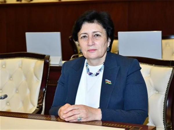Deputat pensiya yaşının azaldılmasına qarşı çıxdı: