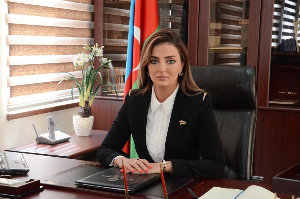 Ərəb mətbuatı: “BMT Təhlükəsizlik Şurasının dörd qətnaməsinin icrasını Azərbaycan özü təmin etdi”