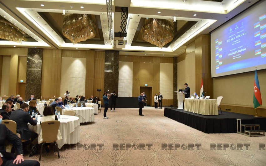 Bakıda Azərbaycan-Macarıstan biznes forumu keçirilir - FOTOLAR