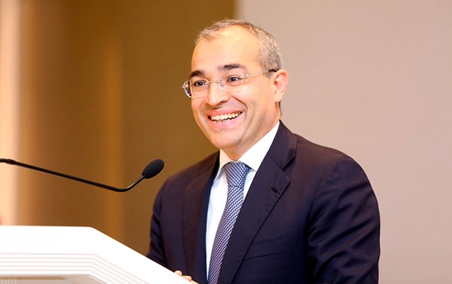 Mikayıl Cabbarov AÇIQLADI: Azərbaycanda aktiv vergi ödəyicilərinin sayı artıb