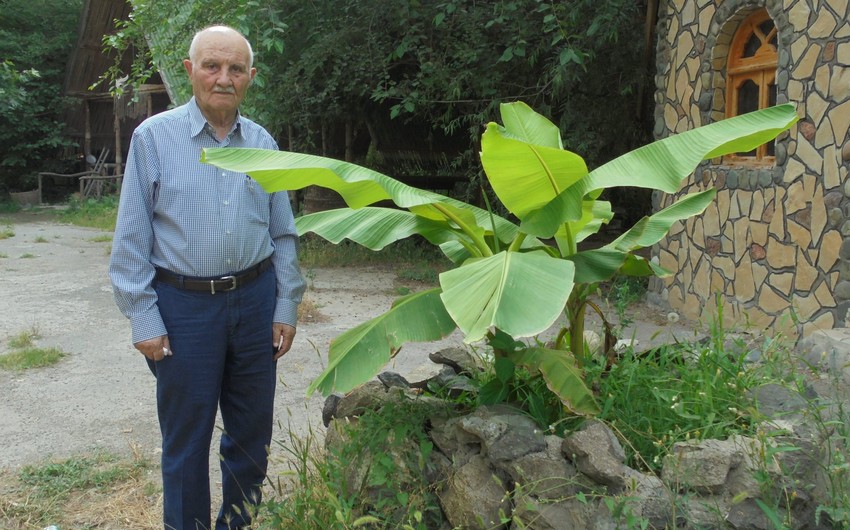 Azərbaycanlı professor vəfat etdi