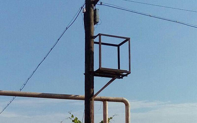 Telefon dirəyindən yıxıldı