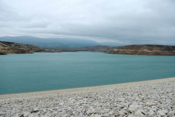 Azərbaycanda su anbarını ilanlar basdı: İçməli su üçün TƏHLÜKƏ VARMI? - AÇIQLAMA