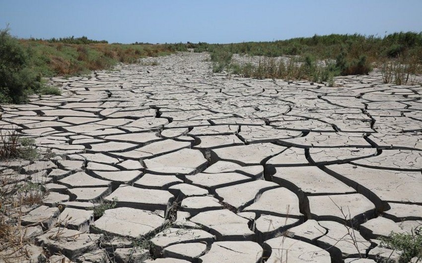 Avropada həyəcan təbili: son 500 ilin... 