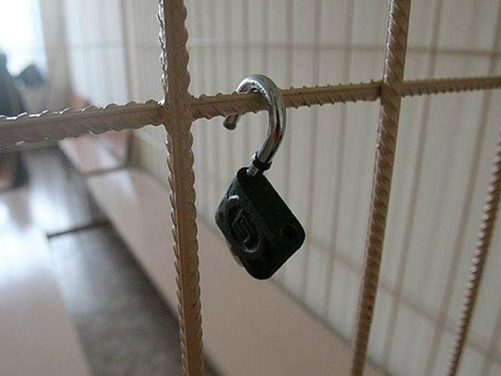Rüşvət üstündə tutulan psixiatr azadlığa buraxıldı - FOTO