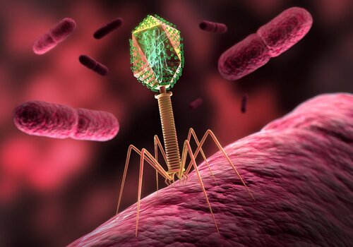 Alimlərdən QORXULU PROQNOZ: “Bu viruslar yeni pandemiyaya səbəb ola bilər”