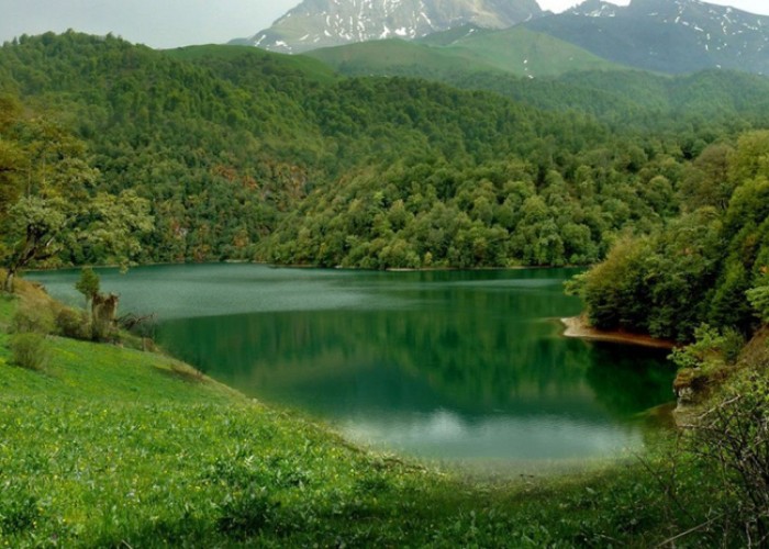 Azərbaycanda yeni milli parklar yaradılacaq